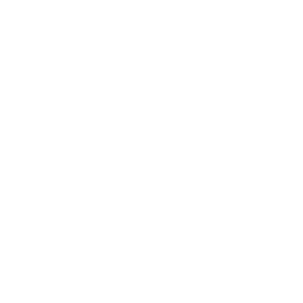 BRASIL PRODUCTIONS LOGO